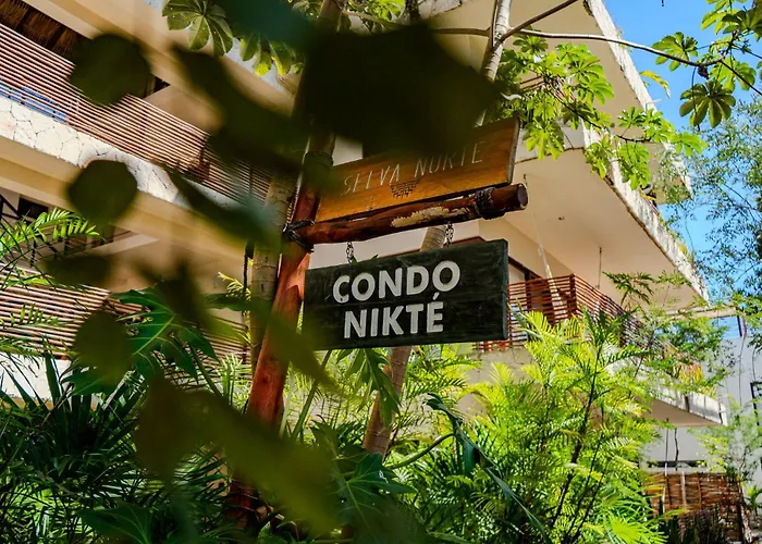Modern With Pool Fast Wifi Perfect Apartment Tulum
