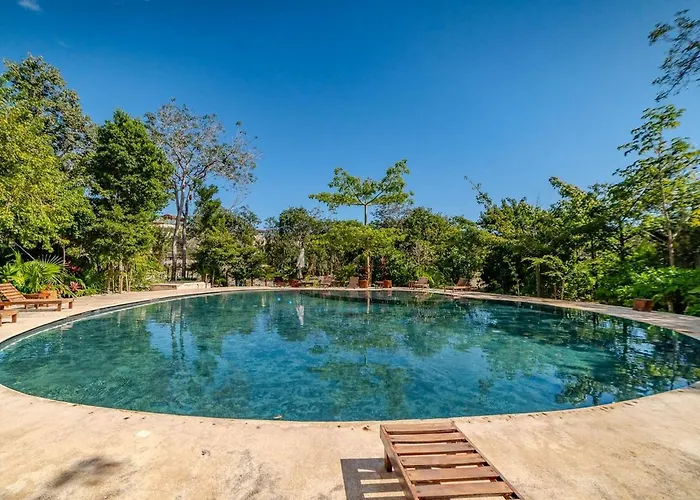 Modern With Pool Fast Wifi Perfect *
