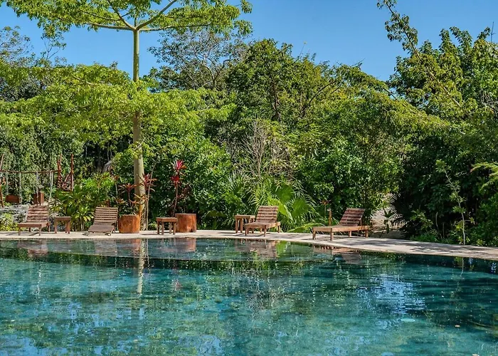 Modern With Pool Fast Wifi Perfect