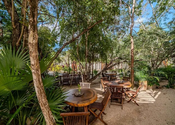 Modern With Pool Fast Wifi Perfect * Tulum
