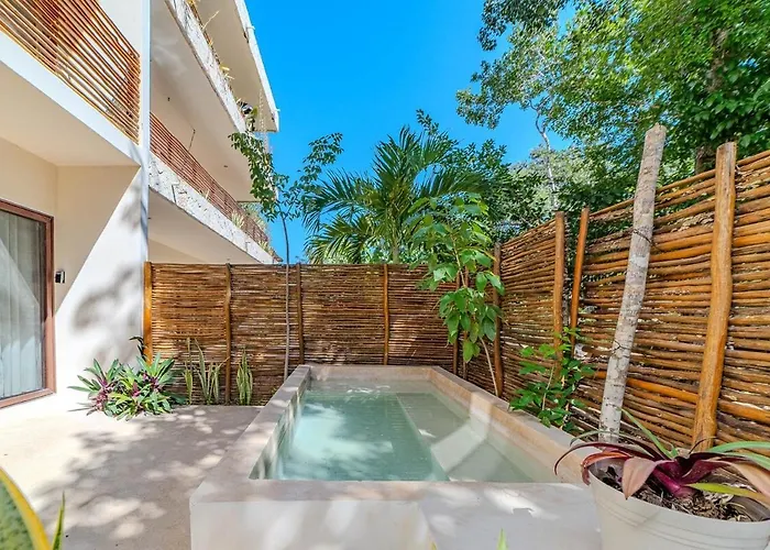 Modern With Pool Fast Wifi Perfect Tulum